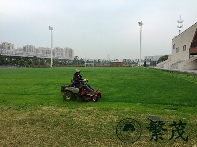 橄欖球場(chǎng)專(zhuān)業(yè)養(yǎng)護(hù)案例
