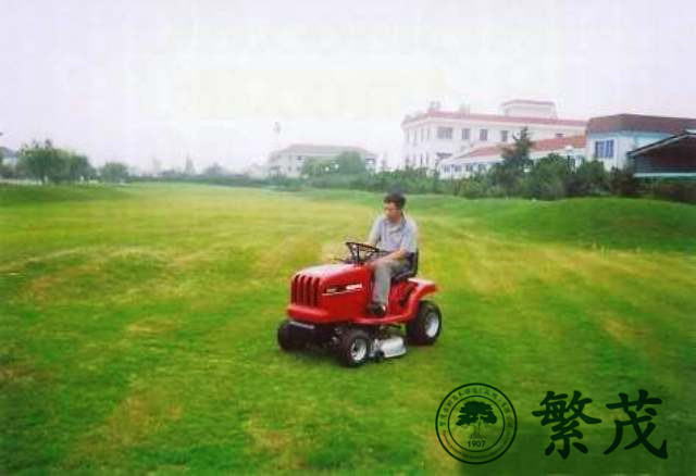 泰州某工廠(chǎng)綠化養(yǎng)護(hù)案例