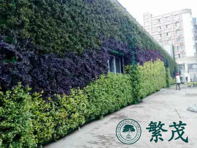 南京某開(kāi)發(fā)商戶(hù)外立體植物墻案例